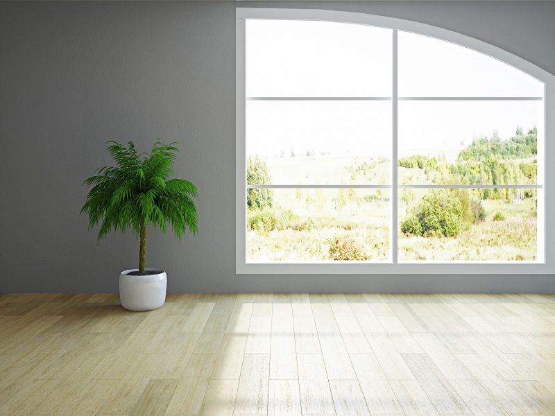Replacing the Windows in Your Home? Consider Double Glaze Windows