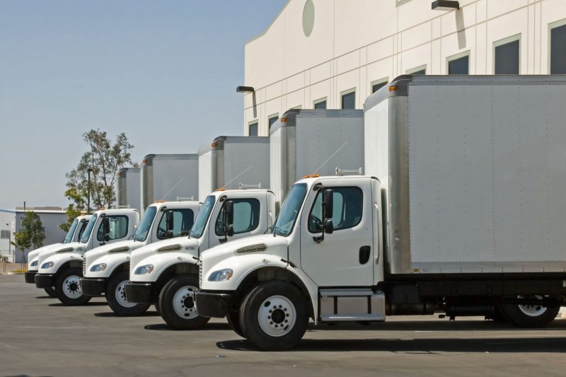 Moving Abroad? Make the Transition Easy with a Certified Removal Company