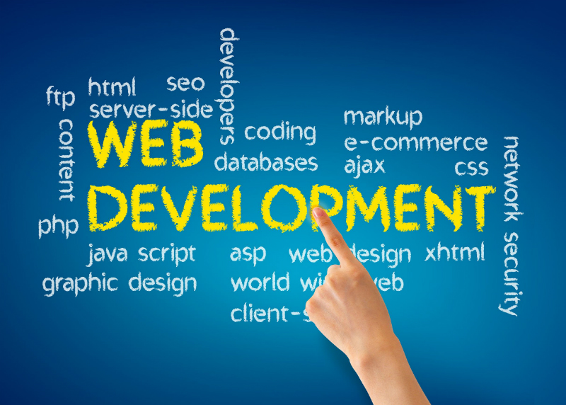 How a Web Development Company is Essential to the Success of a Business